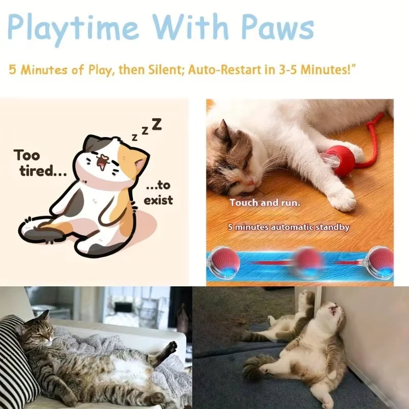 Cat Toys Game Toys for Cats Rechargeable Pet Interactive Automatic Rolling Ball Products Electric Dog Ball Toy Simulated Tail Fo