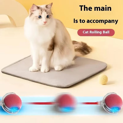 Cat Toys Game Toys for Cats Rechargeable Pet Interactive Automatic Rolling Ball Products Electric Dog Ball Toy Simulated Tail Fo