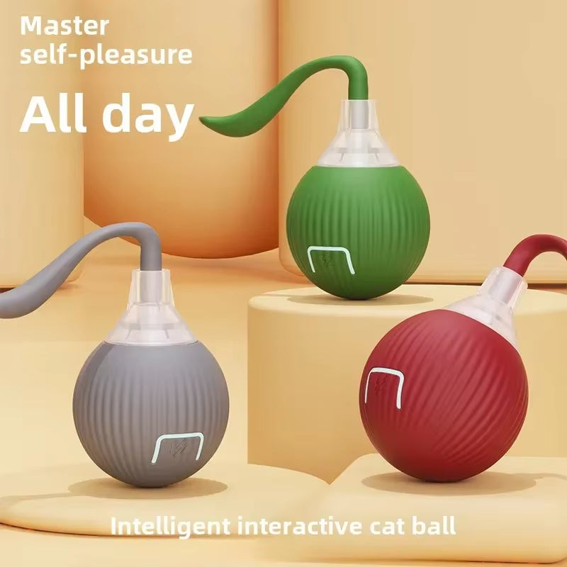 Cat Toys Game Toys for Cats Rechargeable Pet Interactive Automatic Rolling Ball Products Electric Dog Ball Toy Simulated Tail Fo